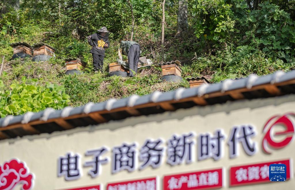 凤凰娱乐开户